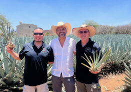 FIFA World Cup 2026: Guadalajara Matches & Agave Region Tours